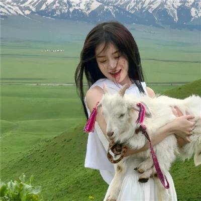 金装律师第五季