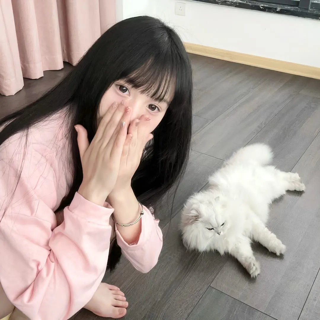 黑蝇